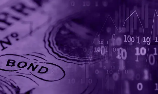 Public Debt Dynamics under Uncertainty