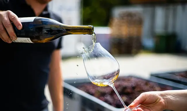 World of Wine: From Grape to Glass