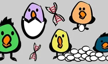 Animal Breeding and Genetics